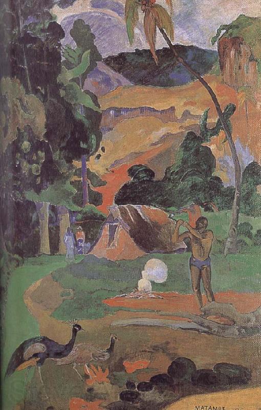 Paul Gauguin There are peacocks scenery Norge oil painting art